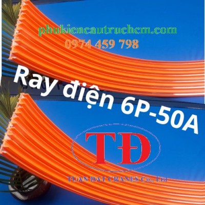Ray điện cầu trục 6P-50A dùng cho hệ điện gì?
